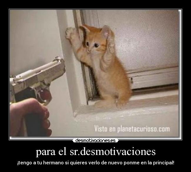 para el sr.desmotivaciones - ¡tengo a tu hermano si quieres verlo de nuevo ponme en la principal!