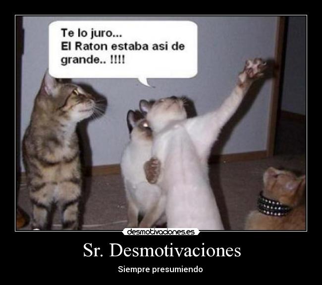 Sr. Desmotivaciones - 