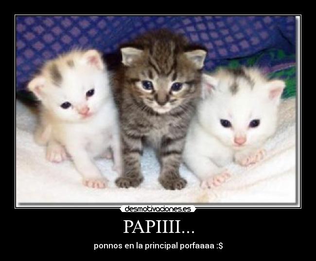 PAPIIII... - ponnos en la principal porfaaaa :$