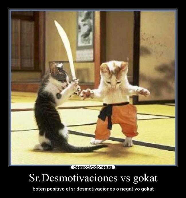 Sr.Desmotivaciones vs gokat -