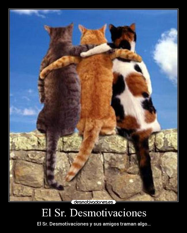 El Sr. Desmotivaciones -