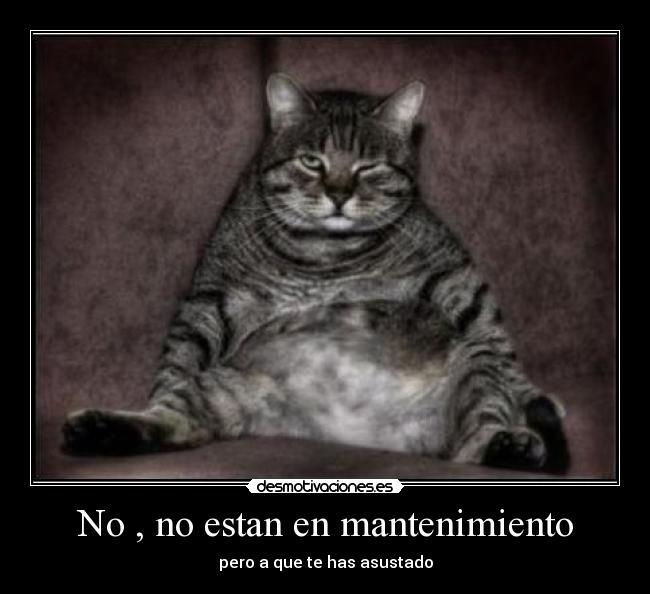 No , no estan en mantenimiento -