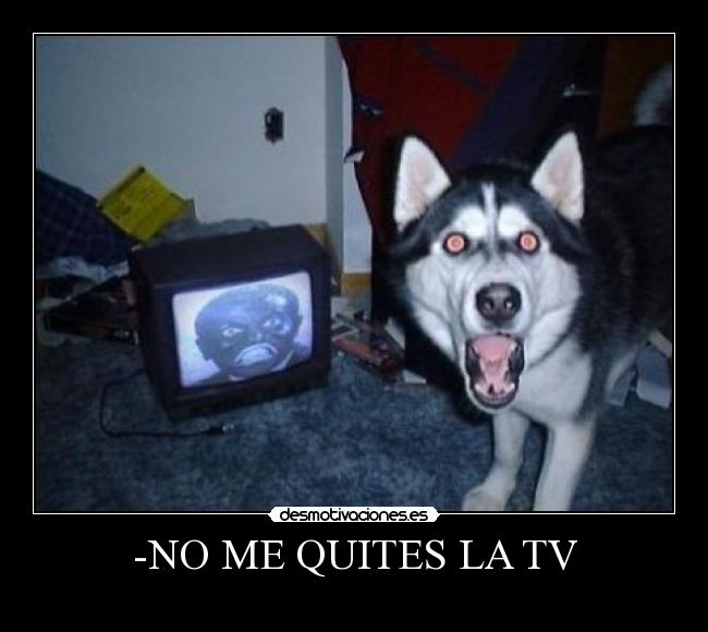 -NO ME QUITES LA TV - 