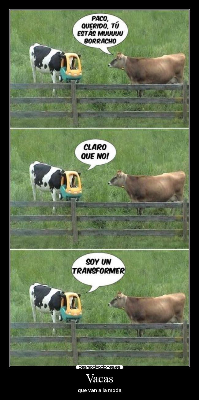 Vacas -