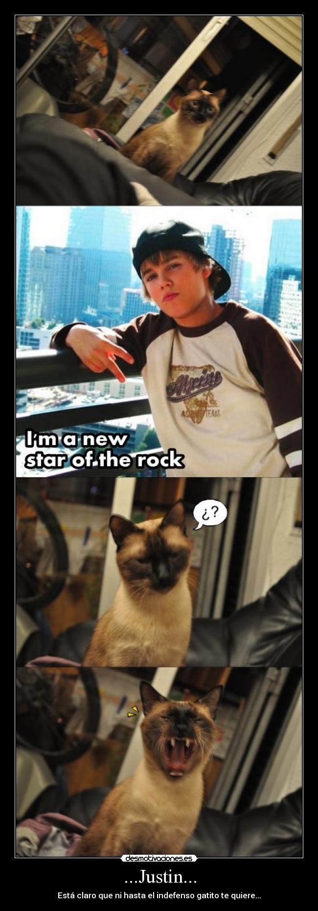 ...Justin... - Está claro que ni hasta el indefenso gatito te quiere...