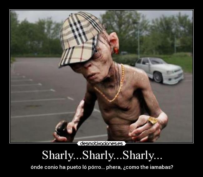 Sharly...Sharly...Sharly... - ónde conio ha pueto ló pórro... phera, ¿como the iamabas?
