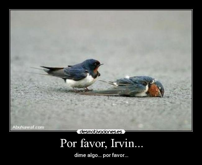 carteles muerte animales triste desmotivaciones