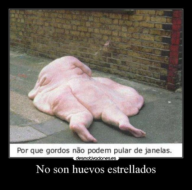 No son huevos estrellados -