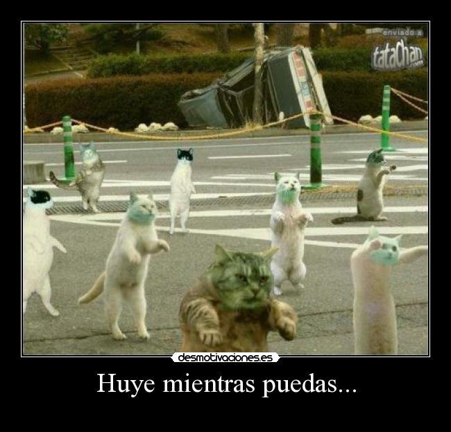 Huye mientras puedas... - 