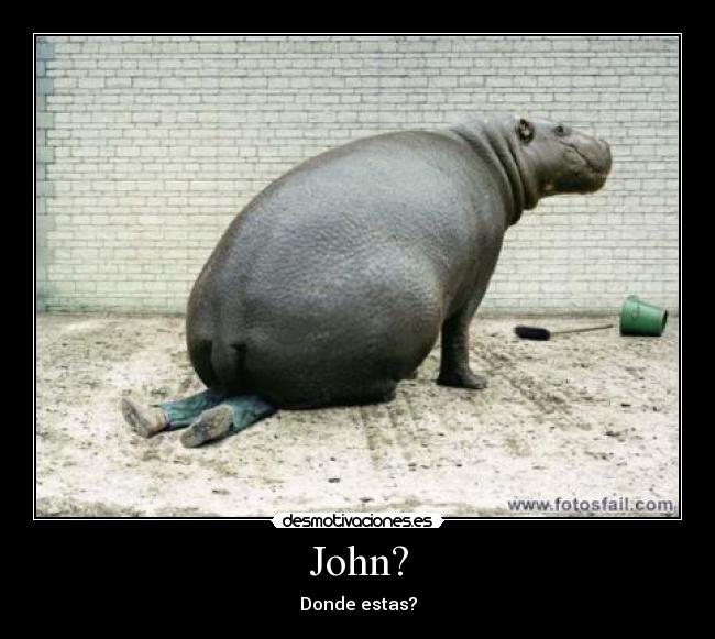 John? - Donde estas?