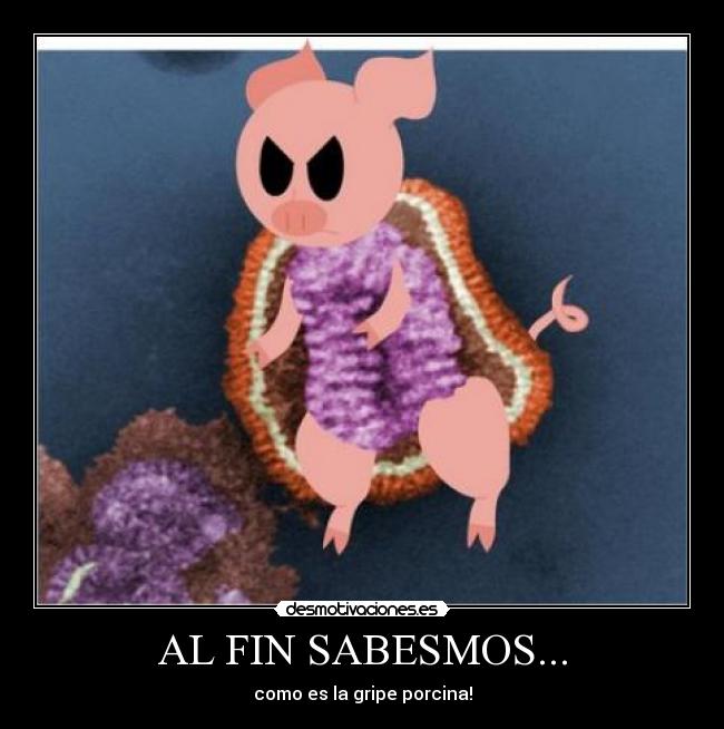 AL FIN SABESMOS... - como es la gripe porcina!