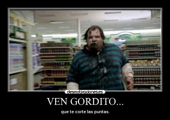 VEN GORDITO... - 