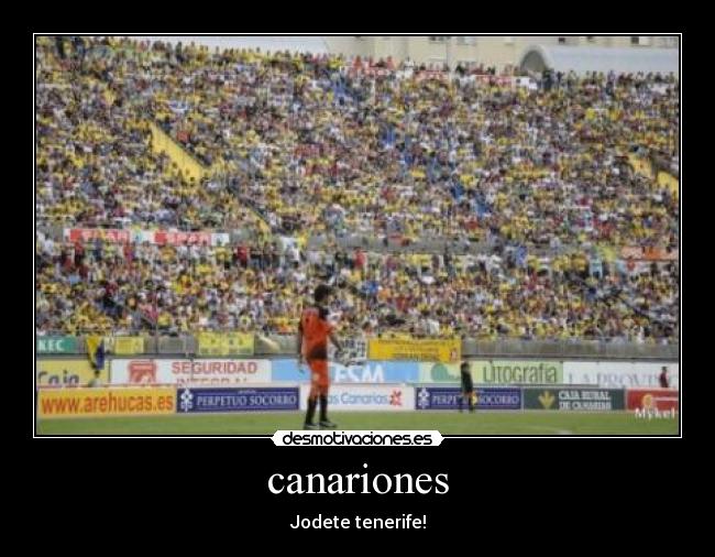 canariones -