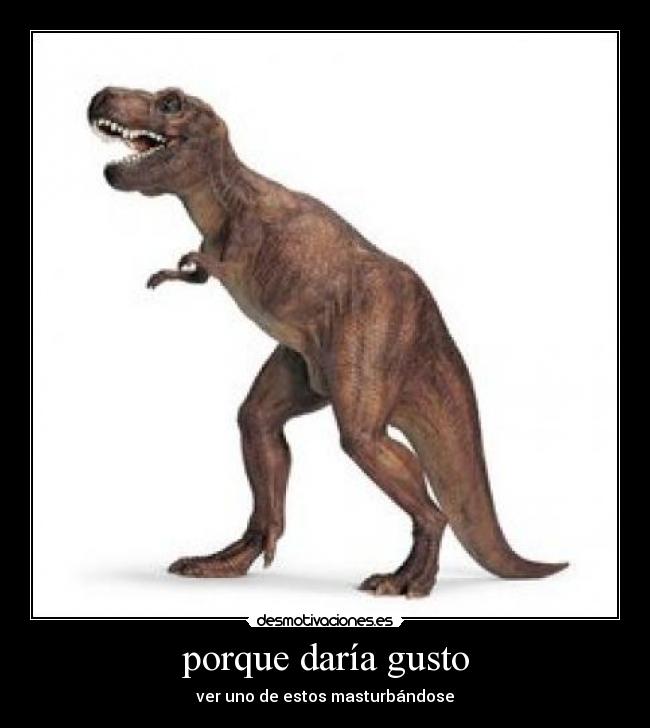 porque daría gusto -