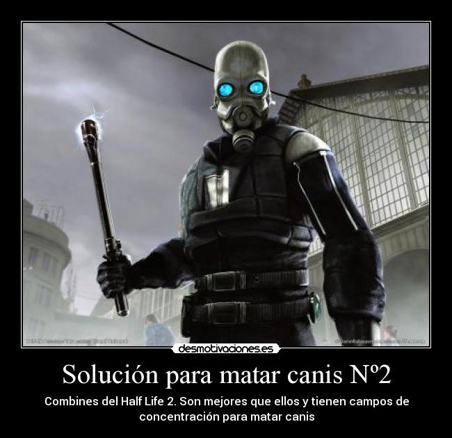 Solución para matar canis Nº2 - 
