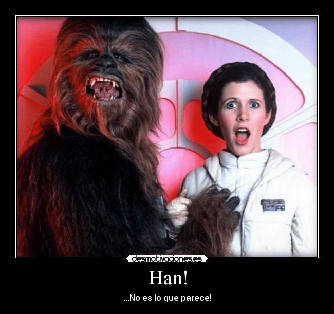 carteles wookie princesa desmotivaciones