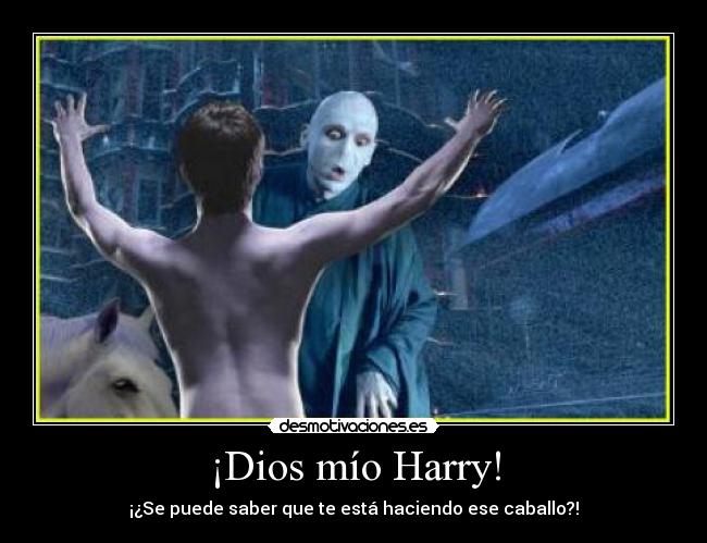 ¡Dios mío Harry! - ¡¿Se puede saber que te está haciendo ese caballo?!