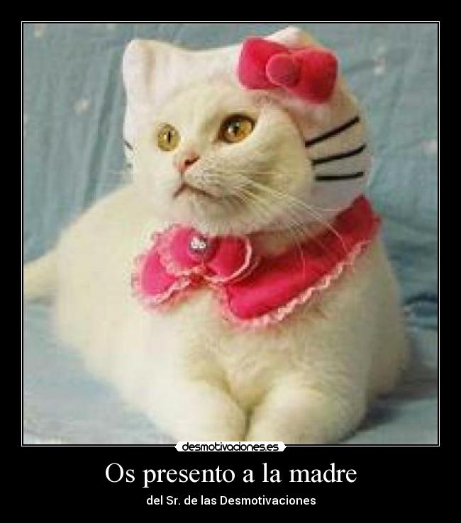 Os presento a la madre -