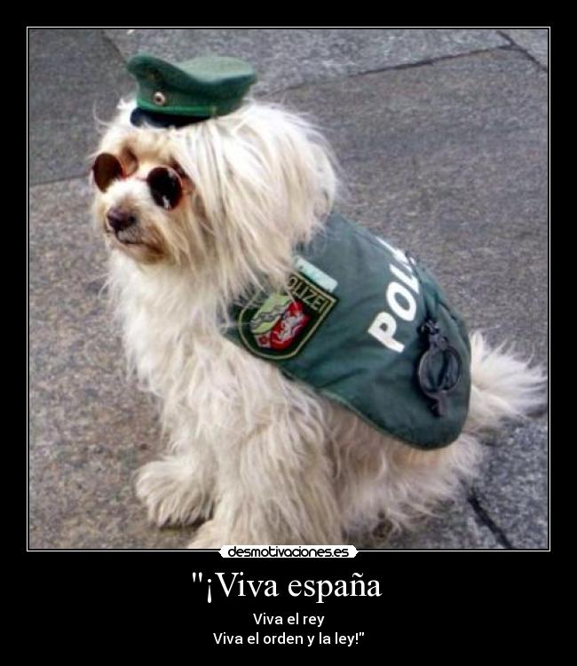 ¡Viva españa -