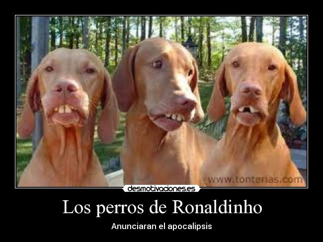 carteles fin del mundo desmotivaciones