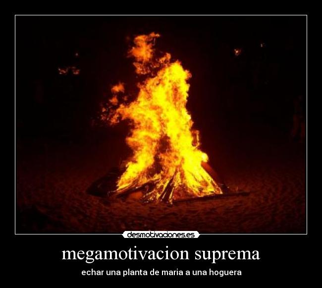 megamotivacion suprema - echar una planta de maria a una hoguera