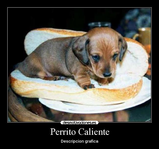 Perrito Caliente - 