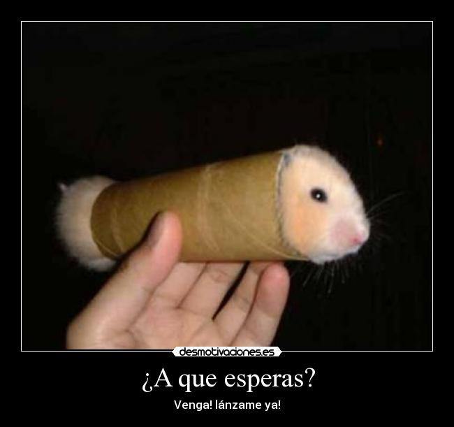 ¿A que esperas? - Venga! lánzame ya!