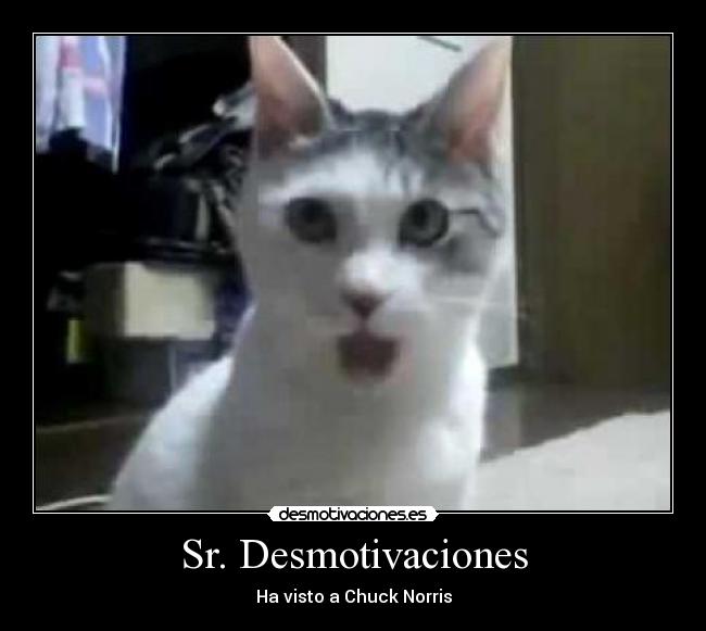 Sr. Desmotivaciones - Ha visto a Chuck Norris