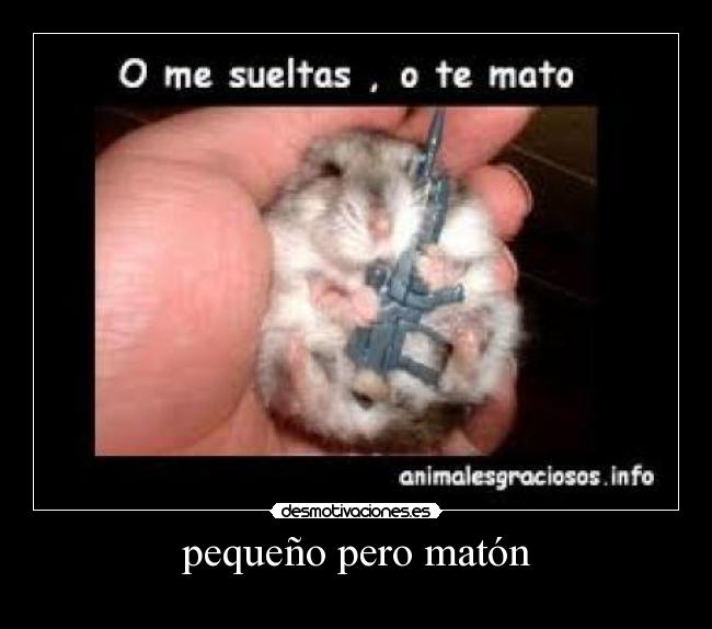 pequeño pero matón -