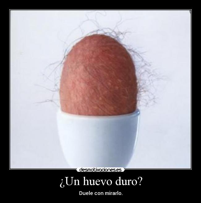 carteles huevo duro desmotivaciones