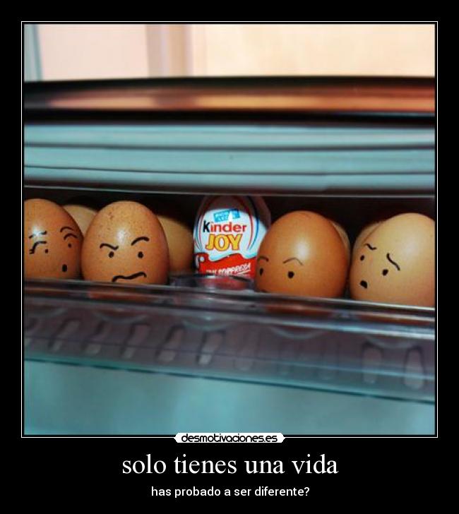 solo tienes una vida -