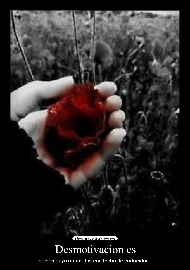 carteles desamor desmotivaciones