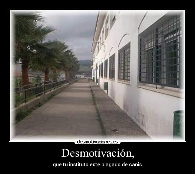 Desmotivación, -