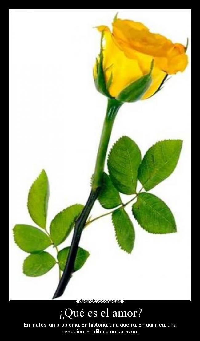 ¿Qué es el amor? - 