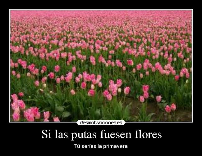 carteles motivaciones desmotivaciones