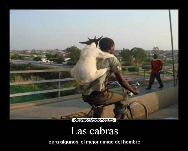 Las cabras - para algunos, el mejor amigo del hombre