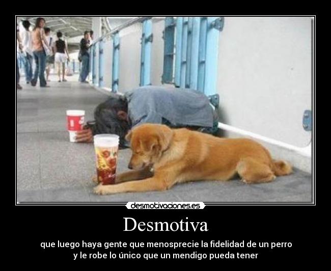 Desmotiva - que luego haya gente que menosprecie la fidelidad de un perro
y le robe lo único que un mendigo pueda tener