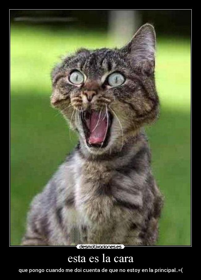 esta es la cara - que pongo cuando me doi cuenta de que no estoy en la principal..=(
