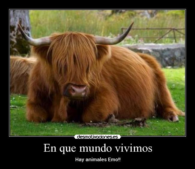 En que mundo vivimos -