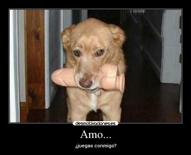 Amo... - ¿juegas conmigo?