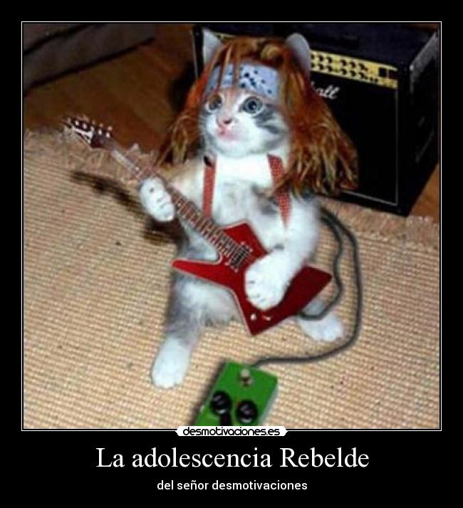 La adolescencia Rebelde - del señor desmotivaciones