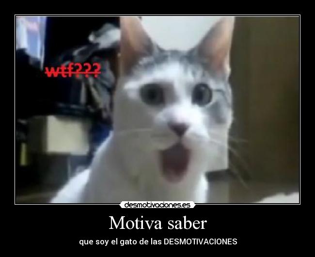 Motiva saber - que soy el gato de las DESMOTIVACIONES