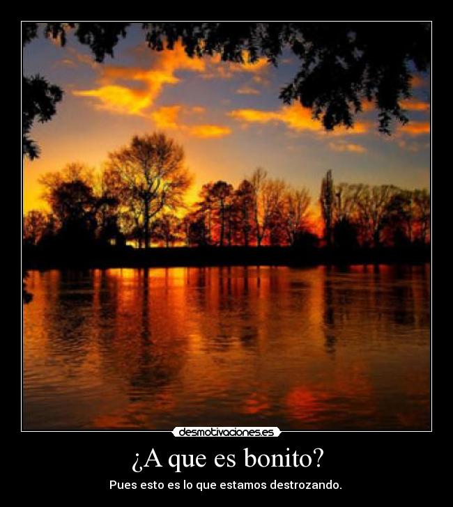 ¿A que es bonito? - 