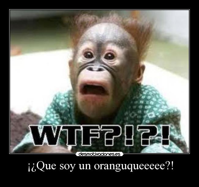 ¡¿Que soy un oranguqueeeee?! - 