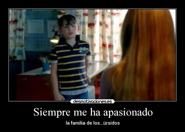 Siempre me ha apasionado - la familia de los...úrsidos