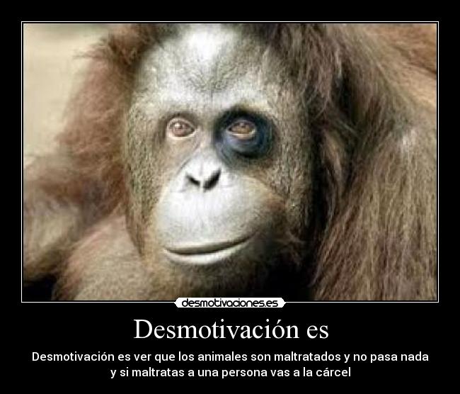 Desmotivación es -