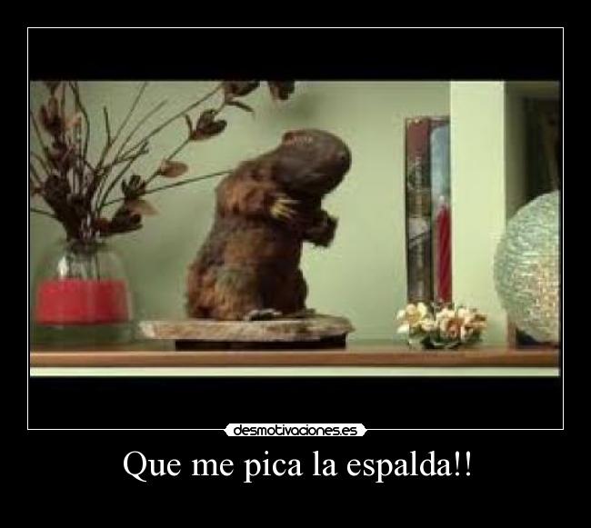 Que me pica la espalda!! -