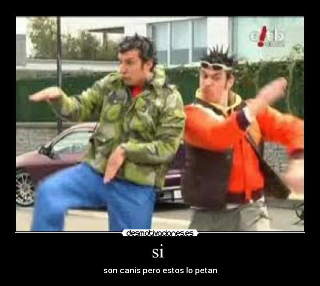 si - son canis pero estos lo petan