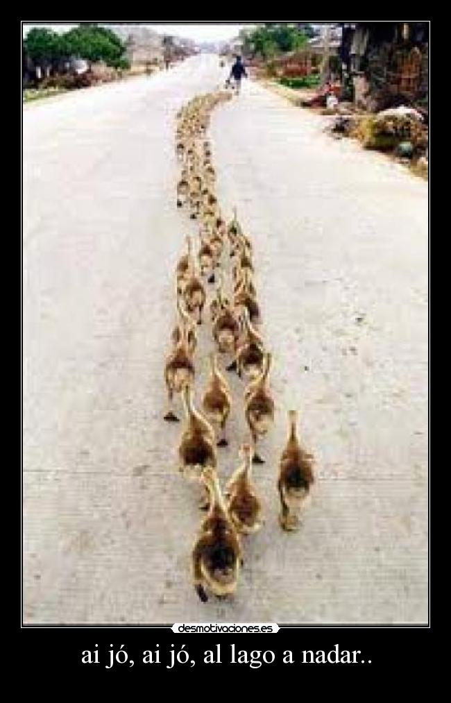 ai jó, ai jó, al lago a nadar.. -