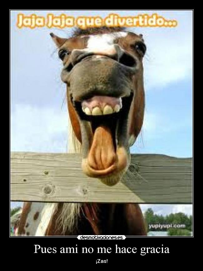 Pues ami no me hace gracia -